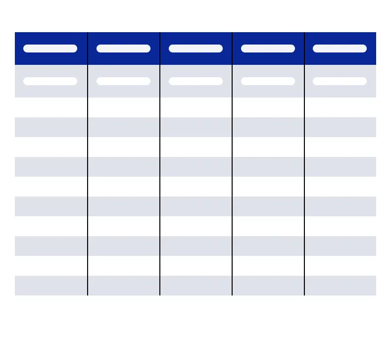 Eine stilisierte, schematische Darstellung der Excel-Vorlage zu IT-Systeme erfassen. Die Tabelle umfasst eine Kopfzeile, undmehrere leere Spalten und Reihen
